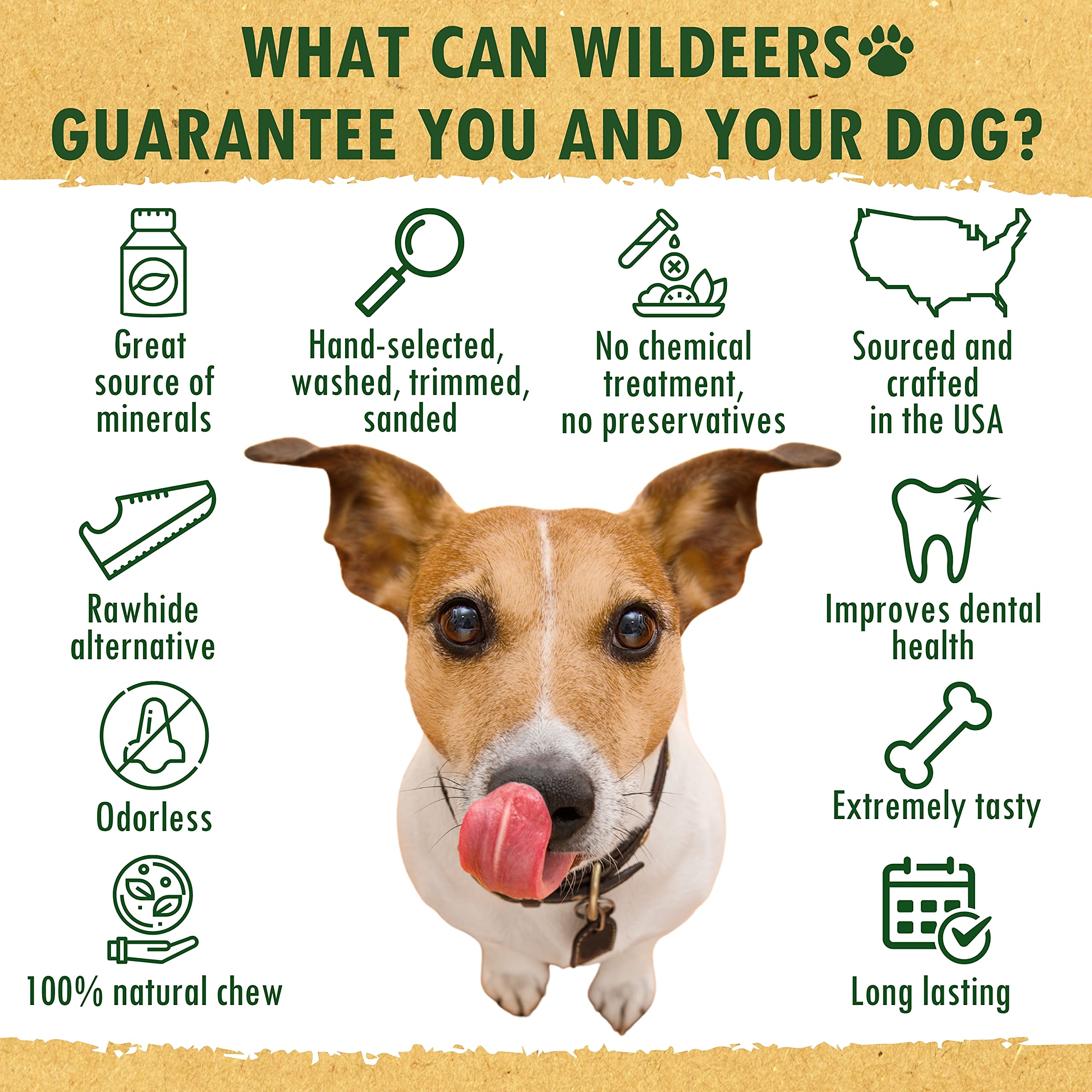 Wildeers Premium Deer Antlers for Dogs - Dog Antler Chews - Made in USA, Naturally Shed, Healthy Treat - Grade A, 4-5 in, 3 Piec